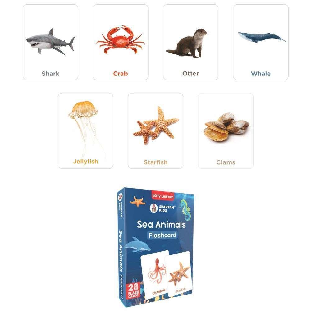 Sea Animals Flash Cards